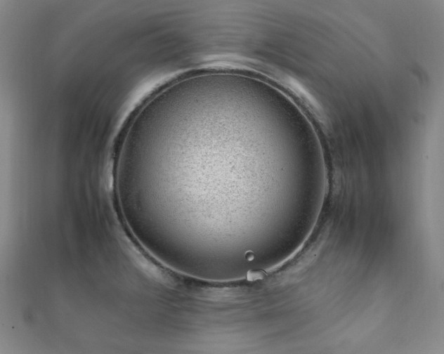 X0000112111376200908041532