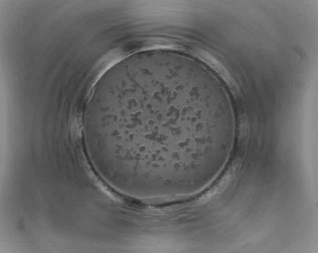 X0000112111377200908041532