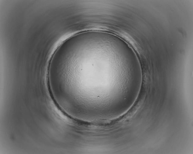 X0000112111379200908041532