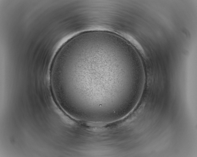 X0000112111380200908041532