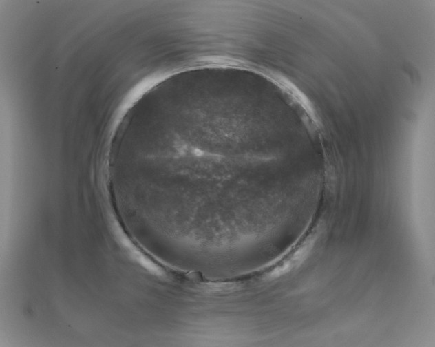 X0000112111381200908041532