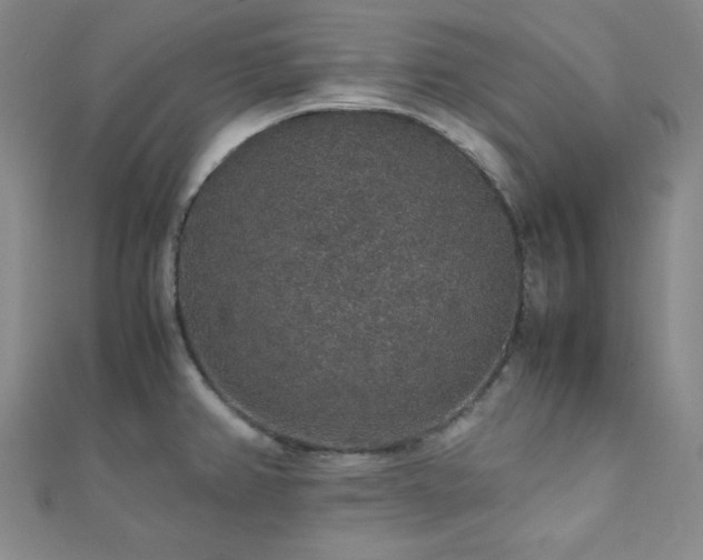 X0000112111382200908041532