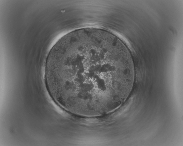 X0000112111383200908041532