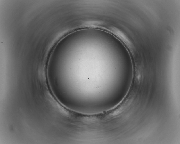 X0000112111384200908041532