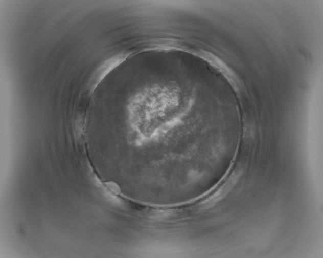 X0000112111385200908041532