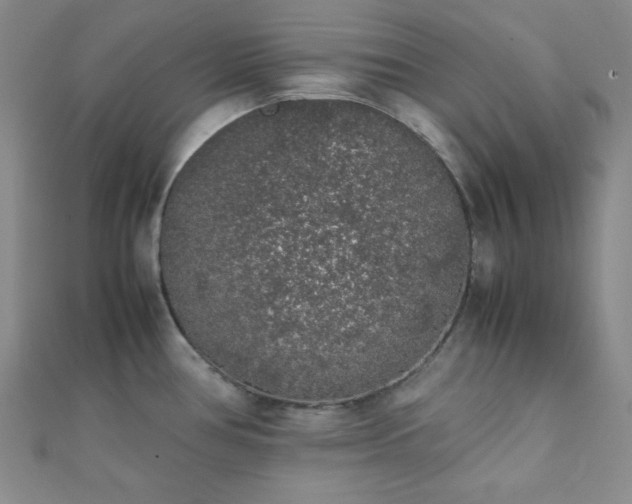 X0000112111386200908041532