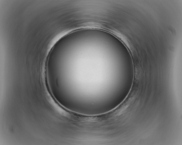 X0000112111387200908041532