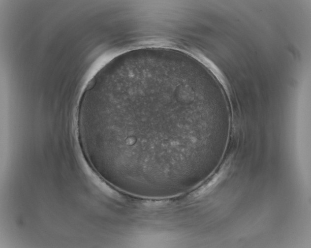 X0000112111389200908041532