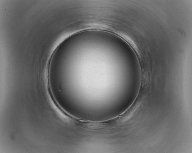 X0000112111391200908041532