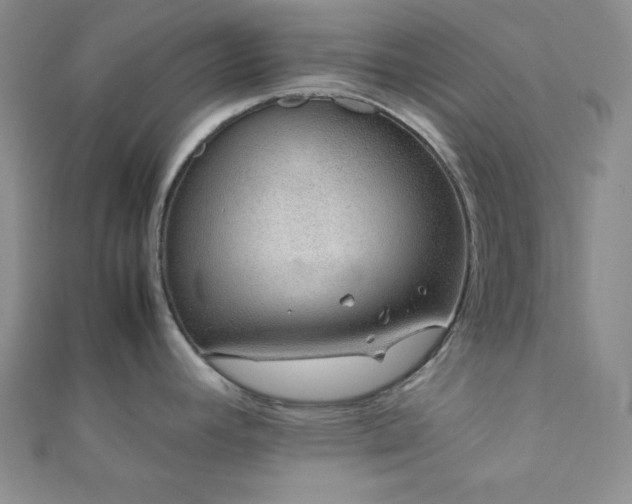 X0000112111392200908041532