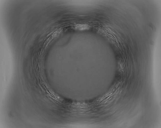 X0000112111393200908041531