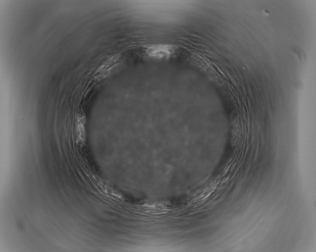 X0000112111394200908041531