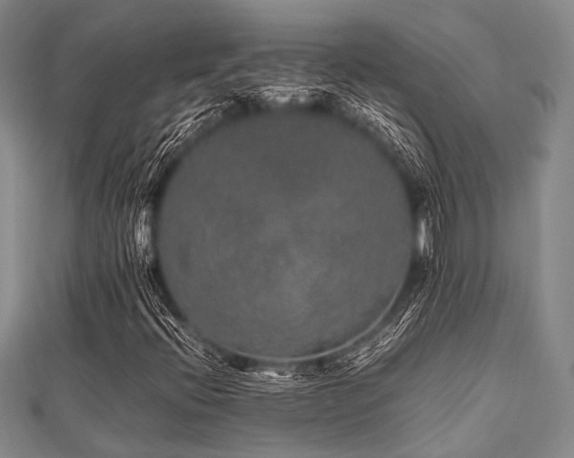 X0000112111396200908041531