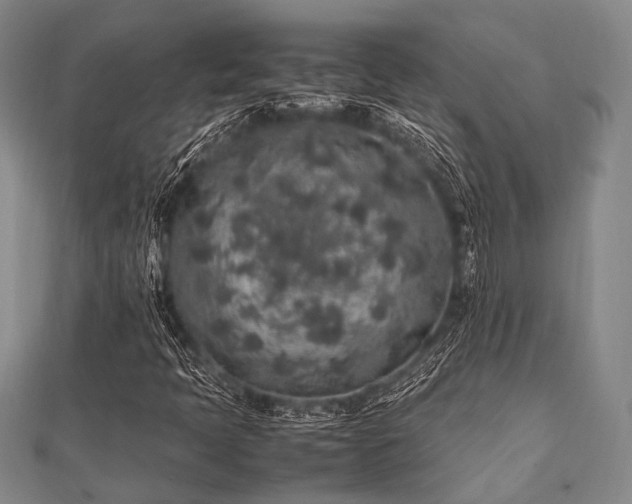 X0000112111397200908041531