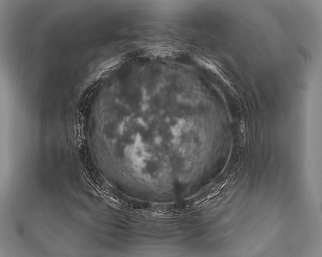 X0000112111399200908041531