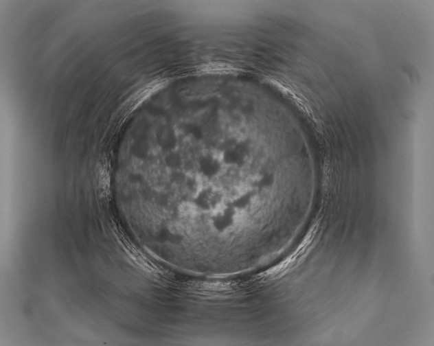 X0000112111401200908041531