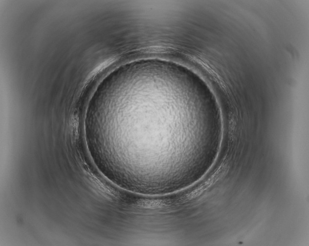 X0000112111402200908041531