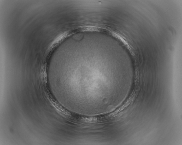 X0000112111403200908041531