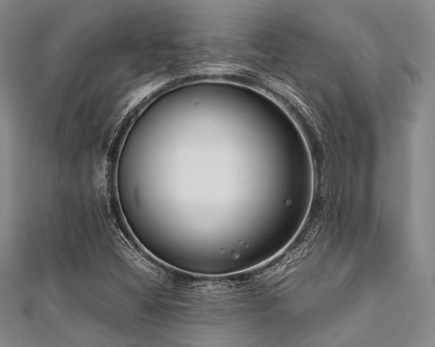 X0000112111404200908041531