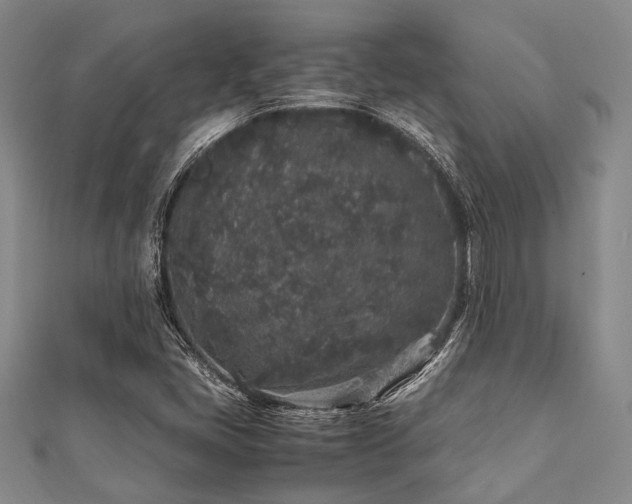 X0000112111405200908041531