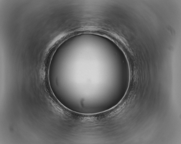 X0000112111406200908041531