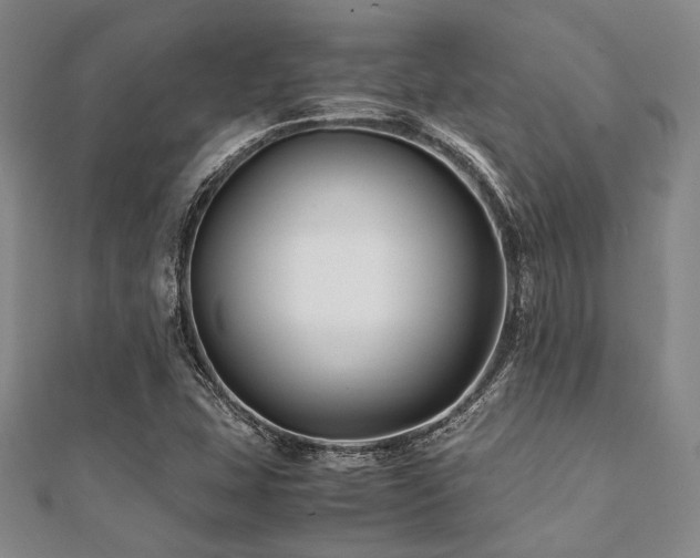 X0000112111407200908041531