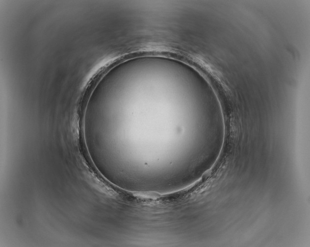 X0000112111408200908041531