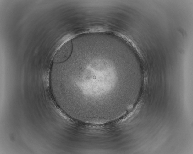 X0000112111409200908041531