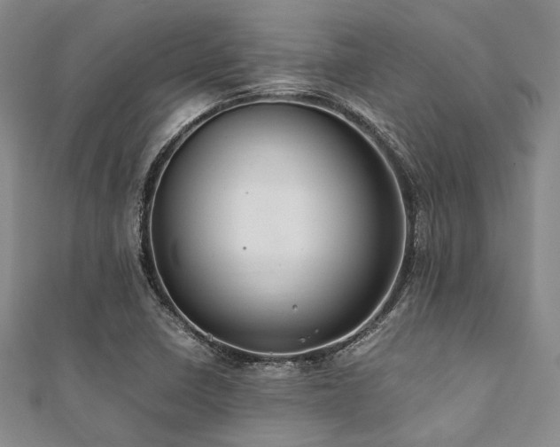 X0000112111410200908041531