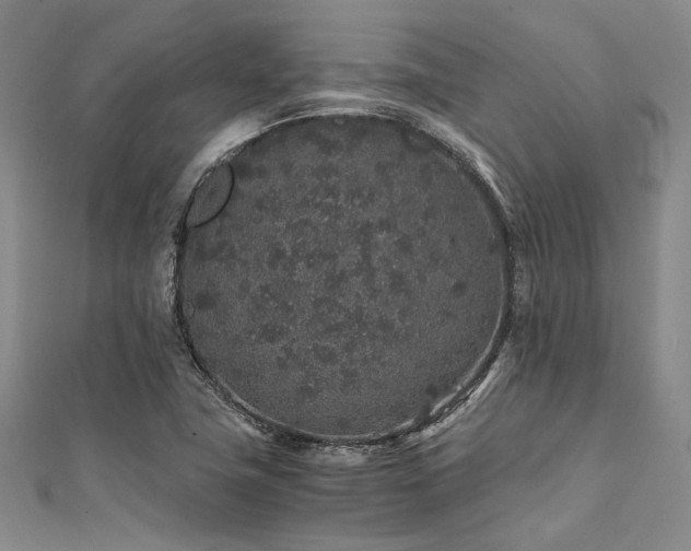 X0000112111411200908041531