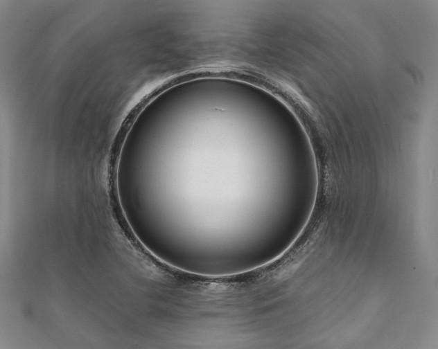 X0000112111412200908041531