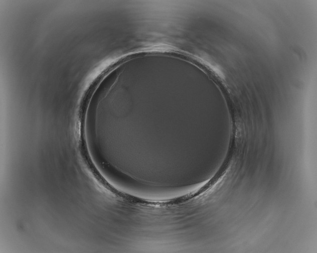 X0000112111414200908041531