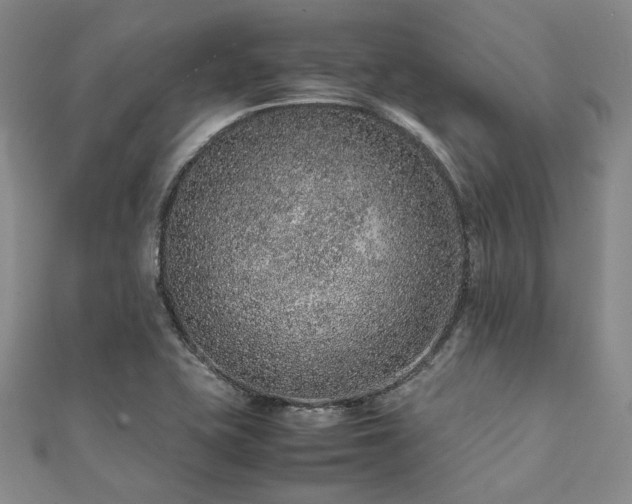 X0000112111415200908041531