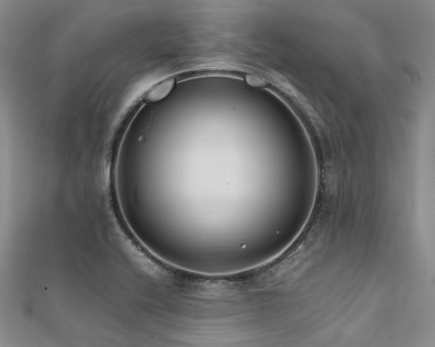 X0000112111416200908041531