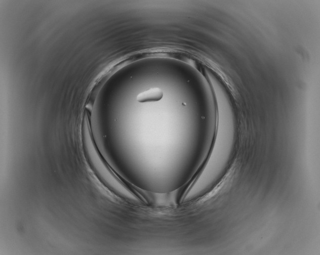 X0000112111417200908041531