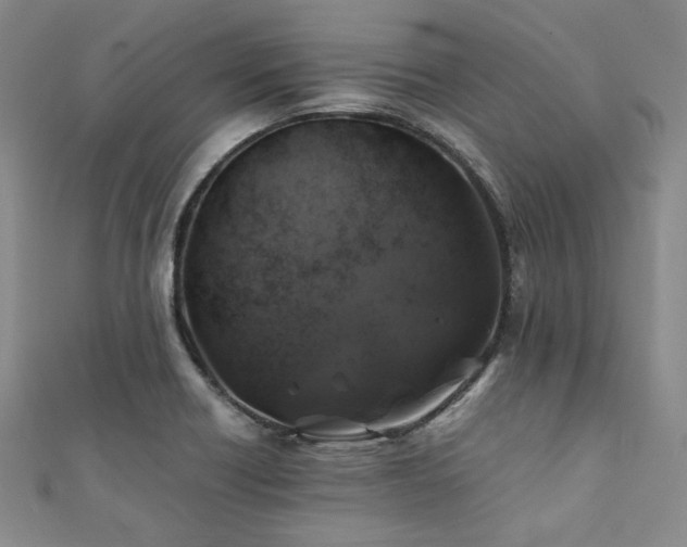 X0000112111418200908041531