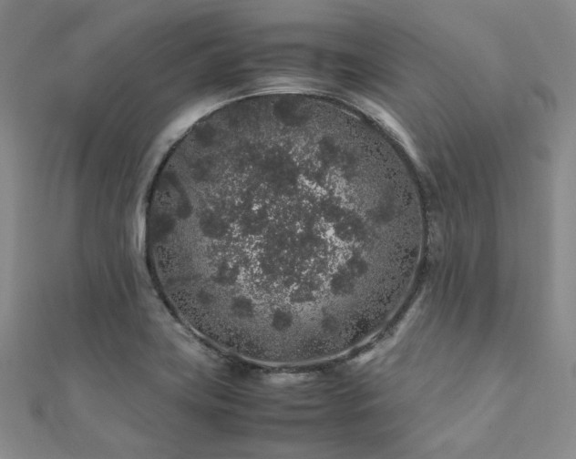 X0000112111419200908041531