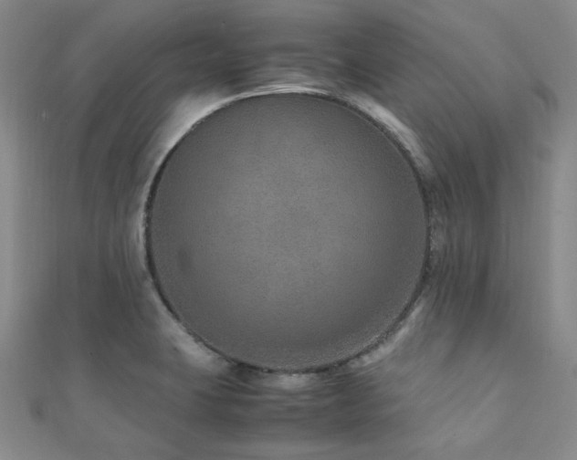 X0000112111423200908041532