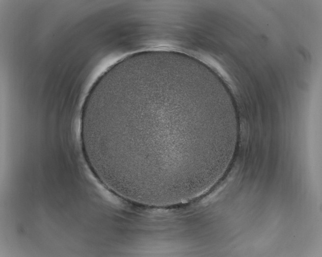 X0000112111424200908041532