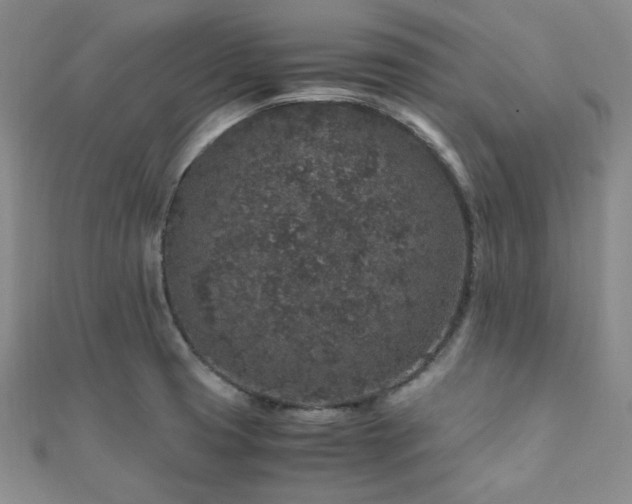 X0000112111425200908041532