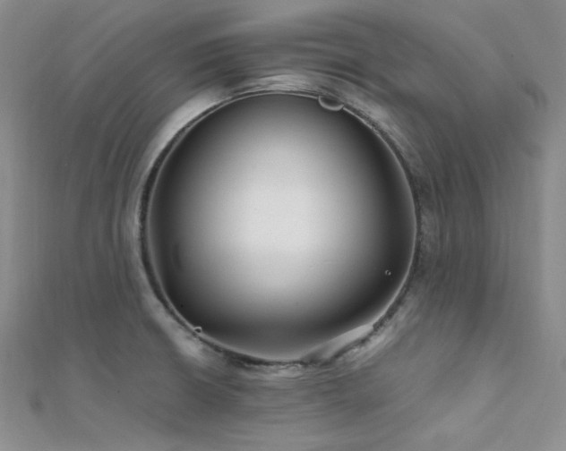 X0000112111426200908041532