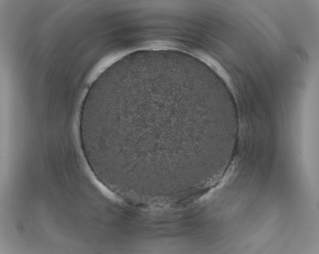 X0000112111429200908041532