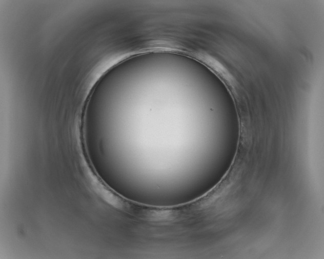 X0000112111431200908041532