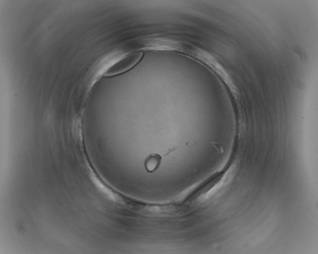 X0000112111433200908041532