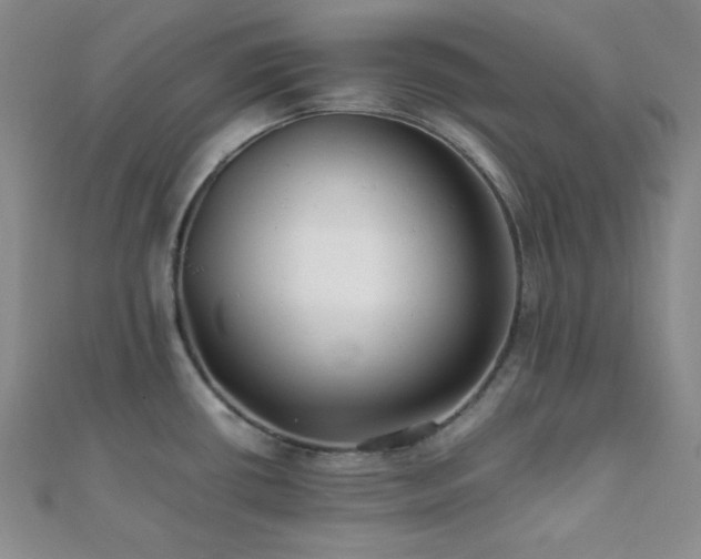 X0000112111434200908041532