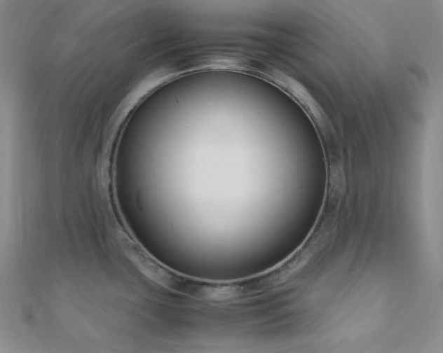 X0000112111435200908041532