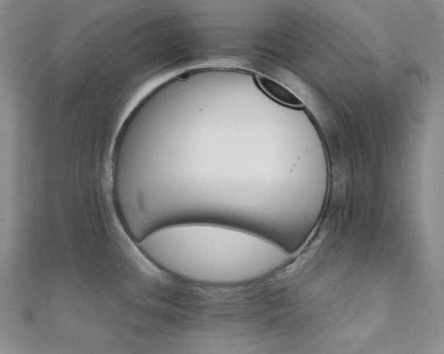 X0000112111436200908041532