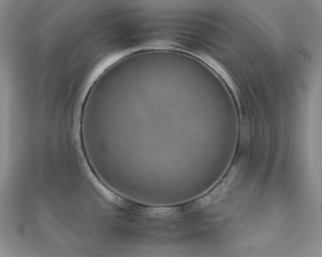 X0000112111437200908041532