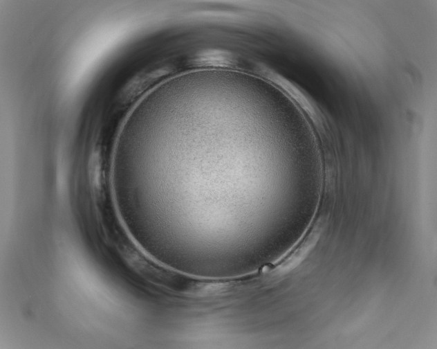 X0000112111438200908041532