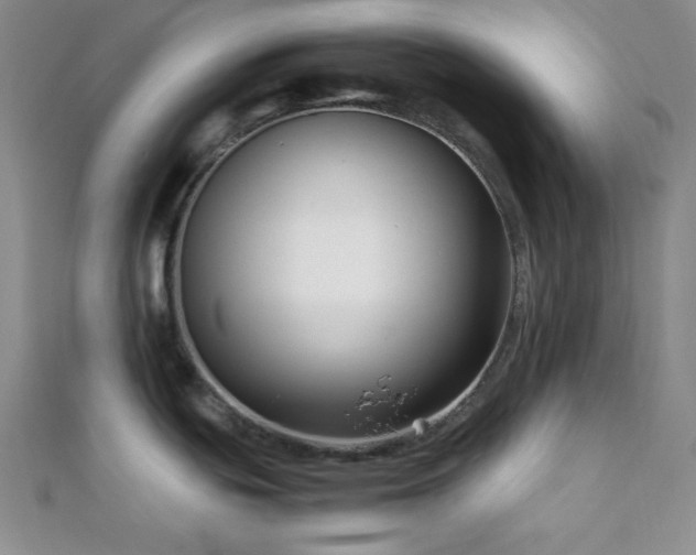 X0000112111439200908041532